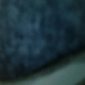 Meet your Posher, Bluefinds